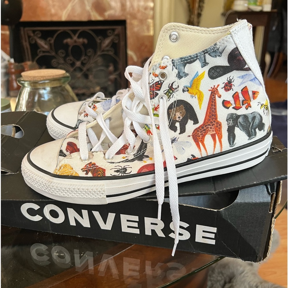 Chuck Taylor science theme high tops